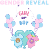 Gender Reveal