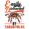 Easily distracted by Tarantulas Tarantel