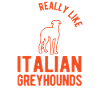 Italienischer Windhund Geschenk