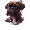 Boxer Mom