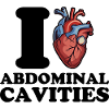 I love abdominal cavities