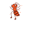 ant skates, industrious insects