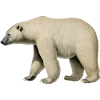 Salutations d’un ours polaire amical