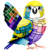 Cockatiel Budgie Bird Propriétaire