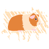 Meerschweinchen-Kader