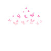 Paix espoir amour, Papillon