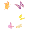 Live your dreams, Butterfly