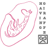 HavingAGiraffePink