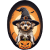 Halloween Dog