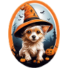 Halloween Witches Dog