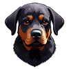 Adorable Rottweiler puppy