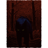 Black Night Cat