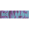 BIG BRAIN