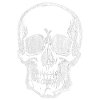 Skull Pirate Skull