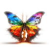 papillon fusion