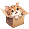 Katze in Karton