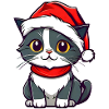 Cute cat with Santa hat
