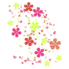 Flowers,Flower,Spring,Blossoms,Red