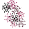 Spider Web, Spider, Webs
