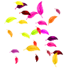 Herbst, herbstlaub,herbstblätter, Blätter