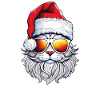Christmas Cat - Merry Christmas
