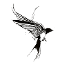 Swallow