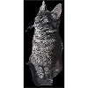 Cute Cat grey