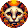 Cat tomcat in sunset autumn