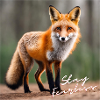 Stay Fearless - Fuchs Design
