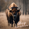 Stay Fearless - Bison Design