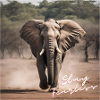 Stay Fearless - Elephant Design