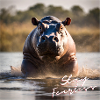 Stay Fearless - Hippopotamus Design