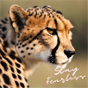 Stay Fearless - Cheetah Design