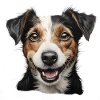 Jack Russel Terrier Head