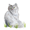 Plüschkatze