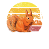 I 've lost my nuts