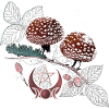 Toadstool Wicca Symbol Natural Magic Autumn