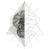 Orang Polygon