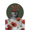 Portrait of a poppy