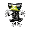 Funny Levitating Frog Wearing Sunglasses