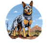 Hund Bouvier australien