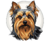 Australian Silky Terrier