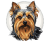 Australian Silky Terrier