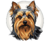 Australian Silky Terrier