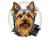 Terrier soyeux australien