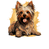 Terrier soyeux australien