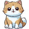 Chat