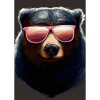 Bär mit Sonnenbrille