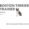 Boston Terrier Trainer Definition