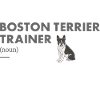 Boston Terrier Trainer Definiton